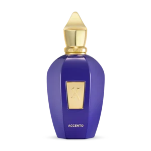 xerjoff Accento 3.4 oz